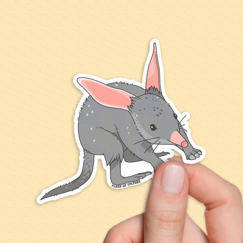 Australian Bilby Vinyl Sticker, Waterproof and Durable Animal Decal, Travel Souvenirs