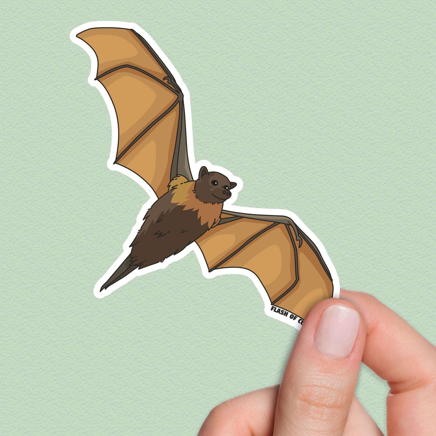 Australian Flying Fox Fruit Bat sticker, Australian Animal stickers, Travel Souvenirs