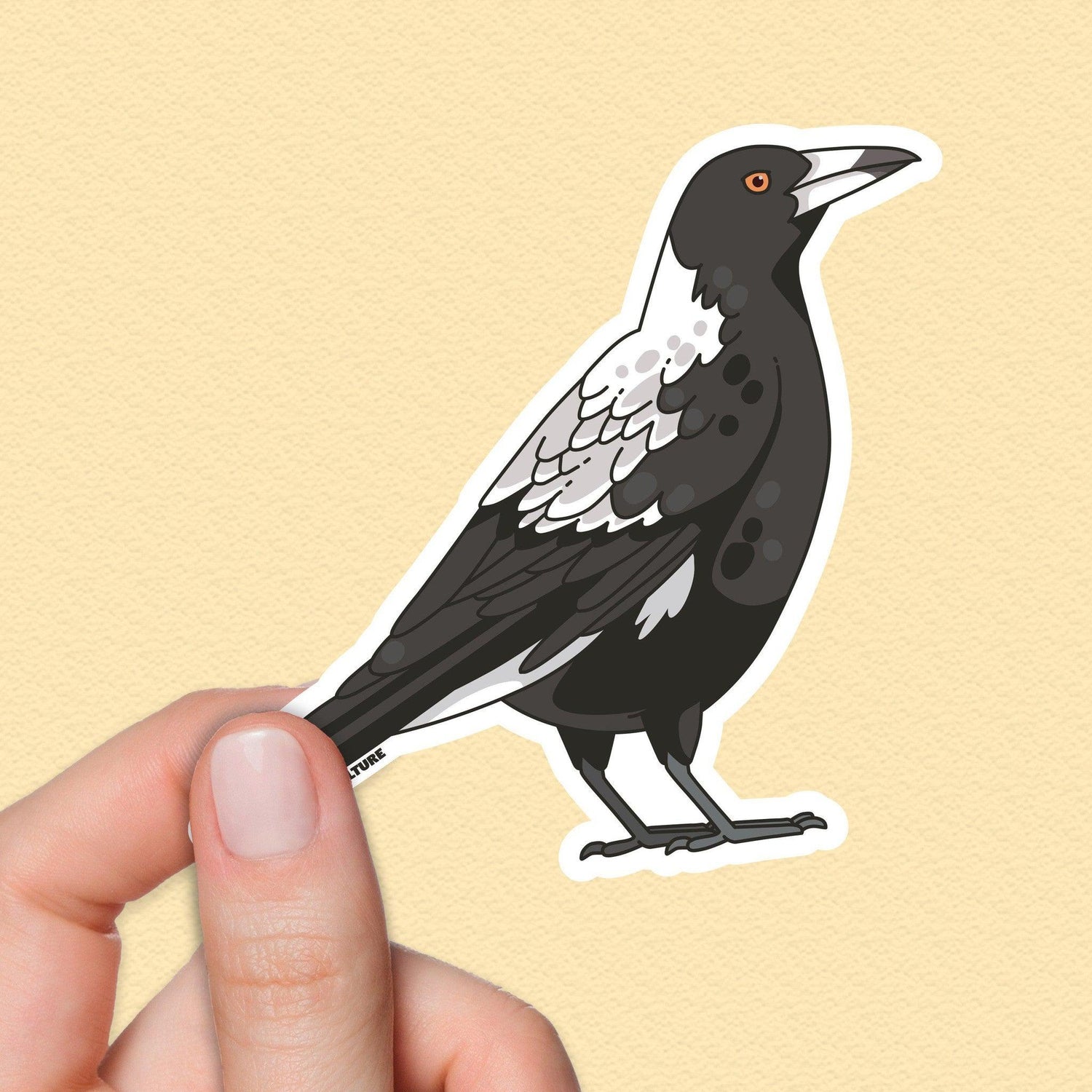 Australian Magpie Sticker, Native Bird Stickers, Travel Souvenirs