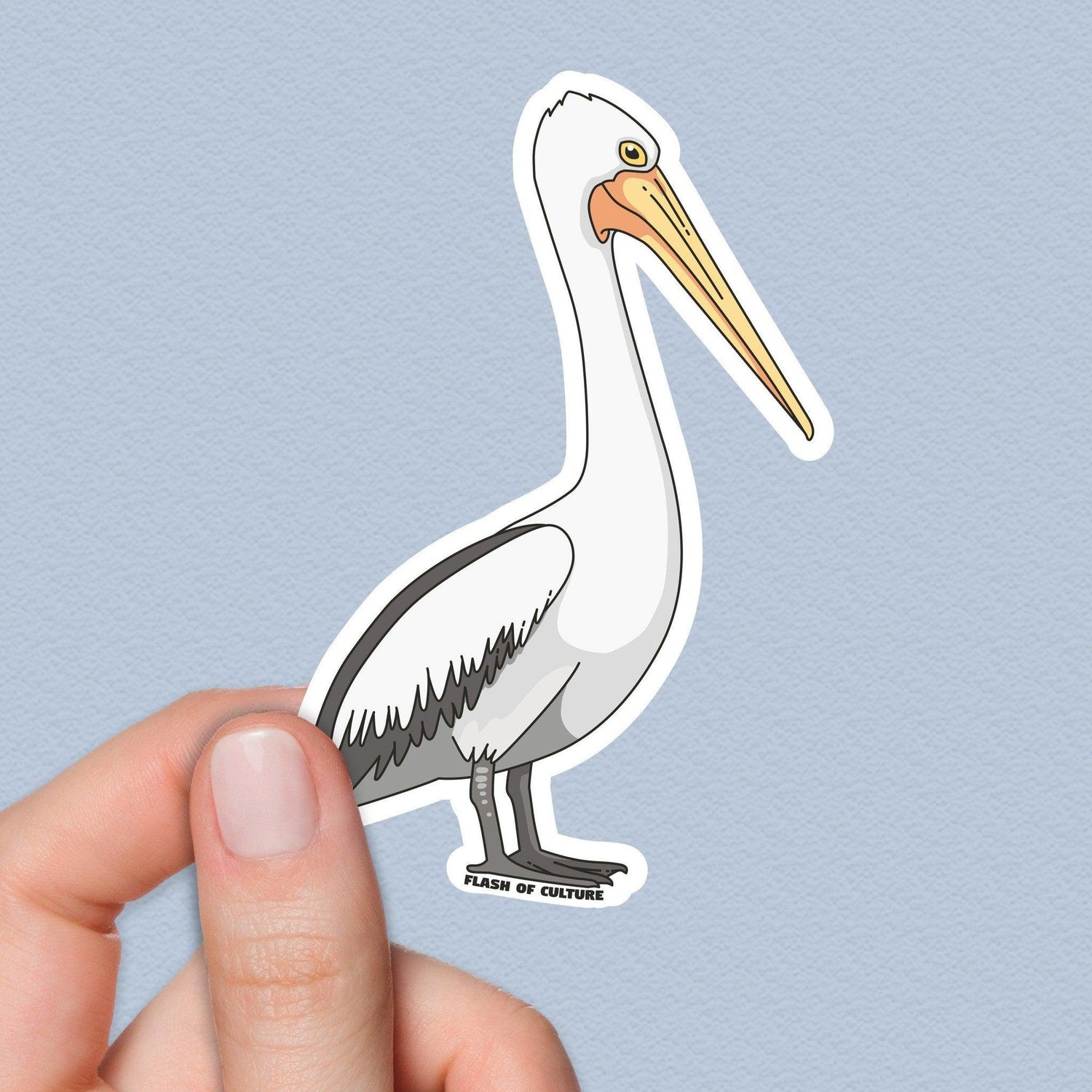 Australian Pelican Sticker, Australian Pelican, Travel Souvenirs
