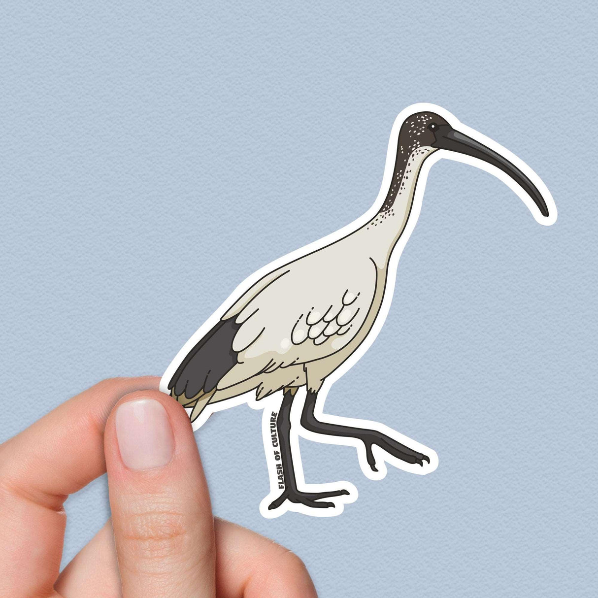 Australian White Ibis sticker, Australian Animal stickers