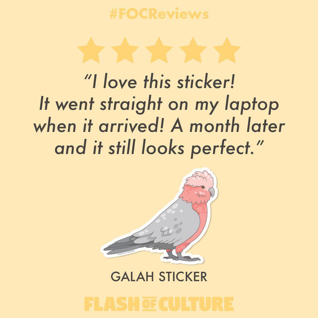 Galah Sticker, Australian Galah Sticker, Bird Stickers