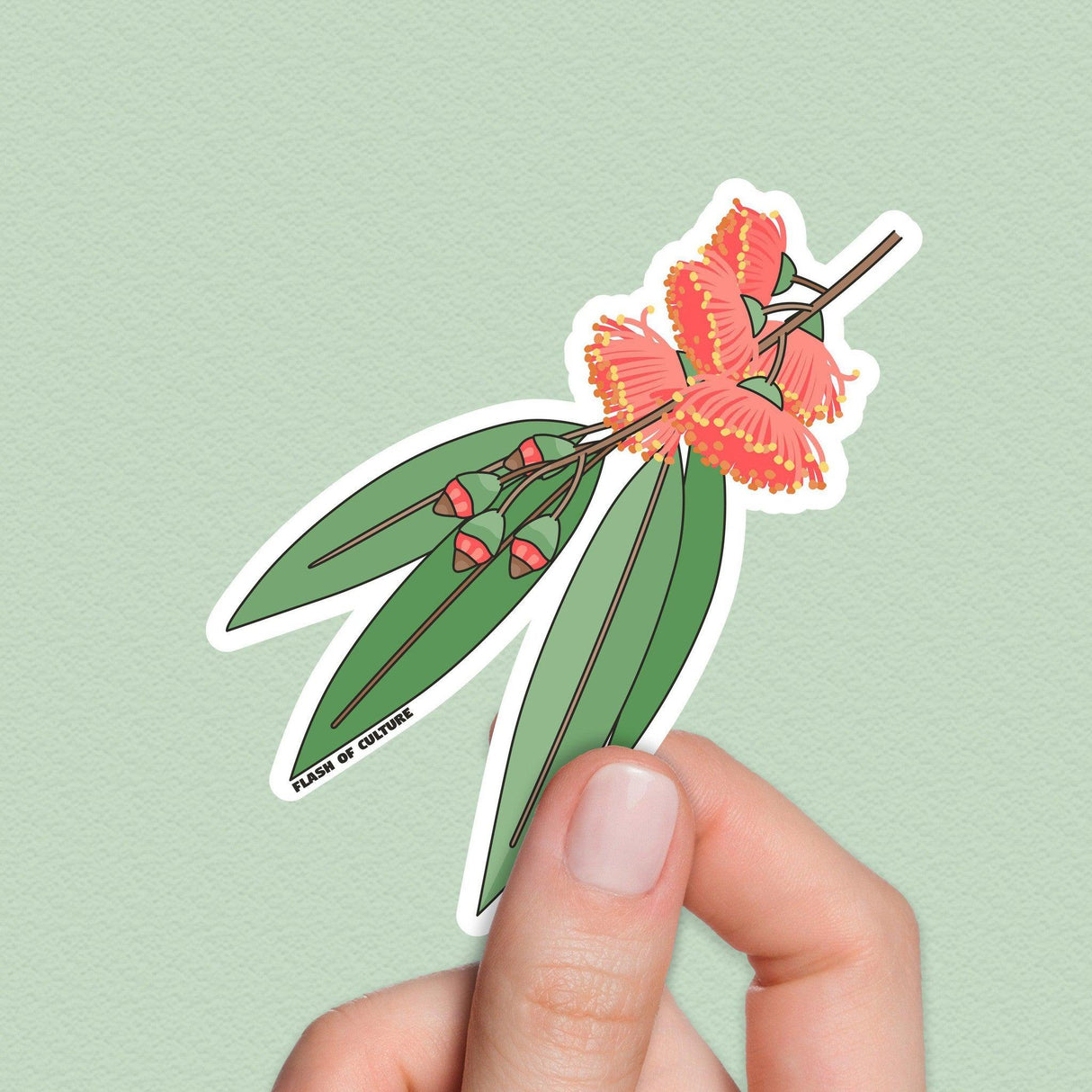 Gumnut Flowers Sticker, Australian Flowers sticker