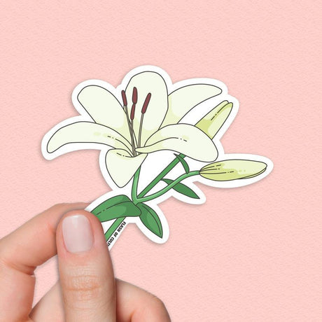 White Lily Sticker, Italian Flower