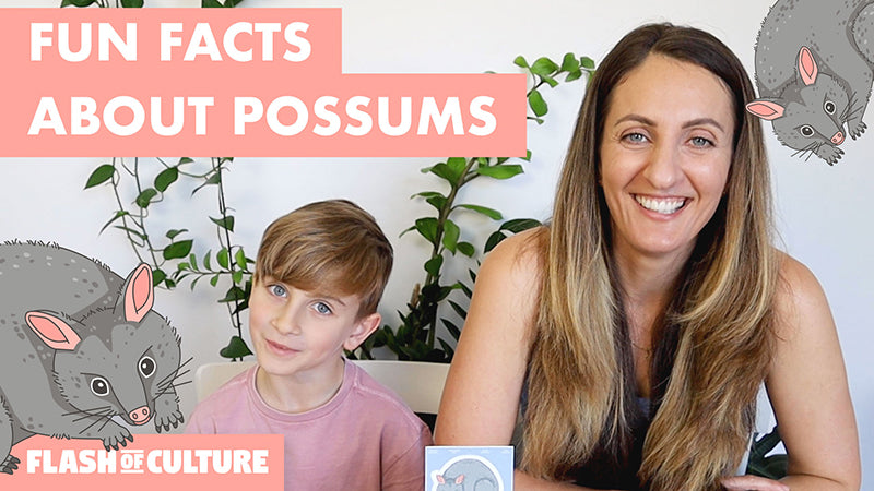 Fun Opossum Facts and Video