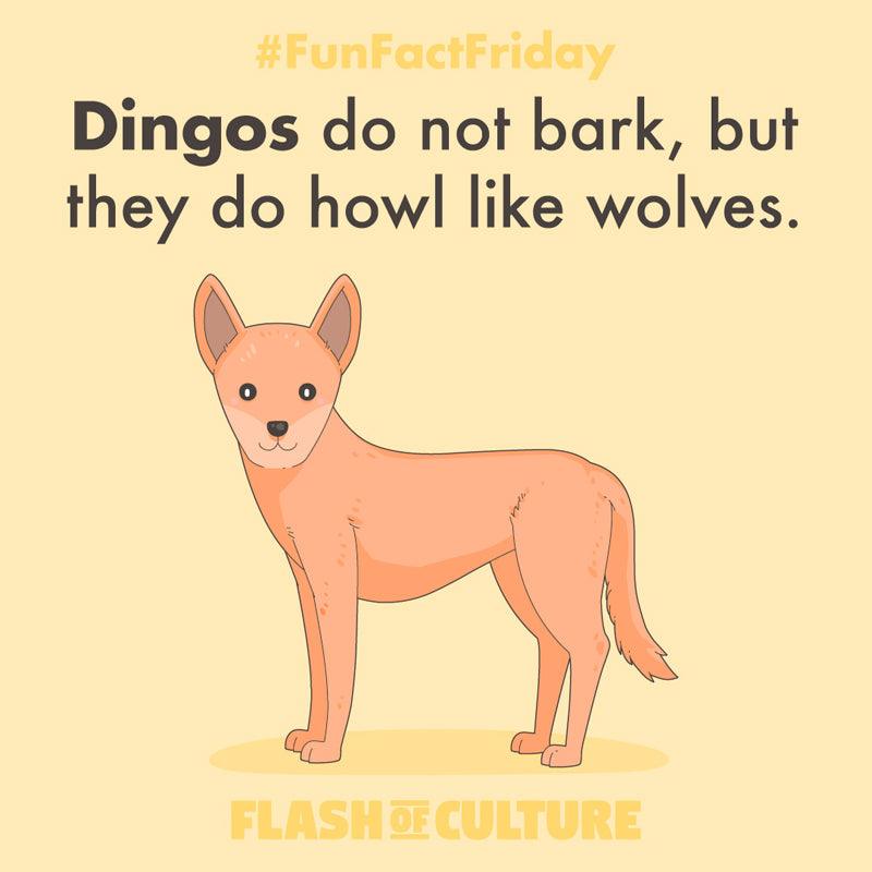 Gioco Educativo Voca Dingo CP-CM1 - Imparare Il Francese Divertendosi, Vocabolario E Ortografia