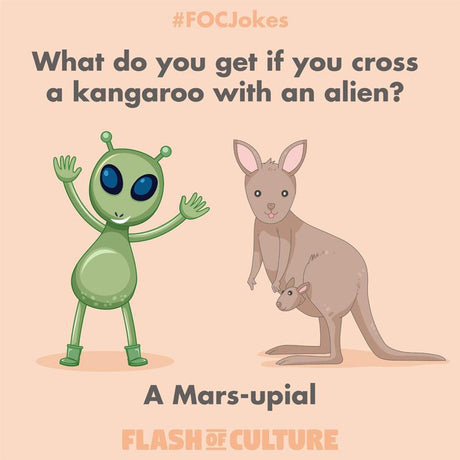 What do you get if you cross a kangaroo with an alien?