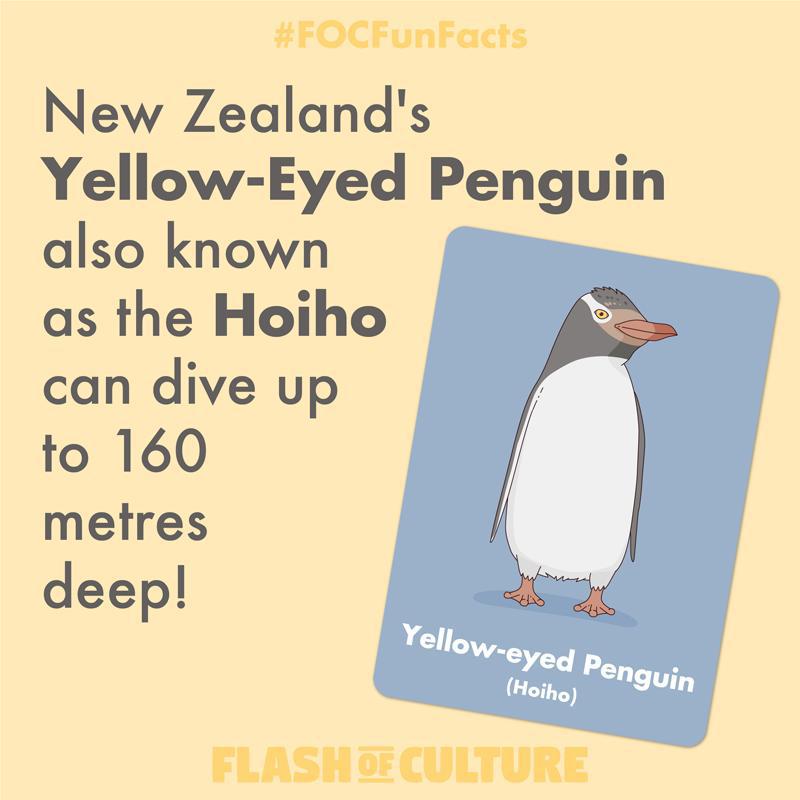 Yellow-Eyed Penguin fun fact