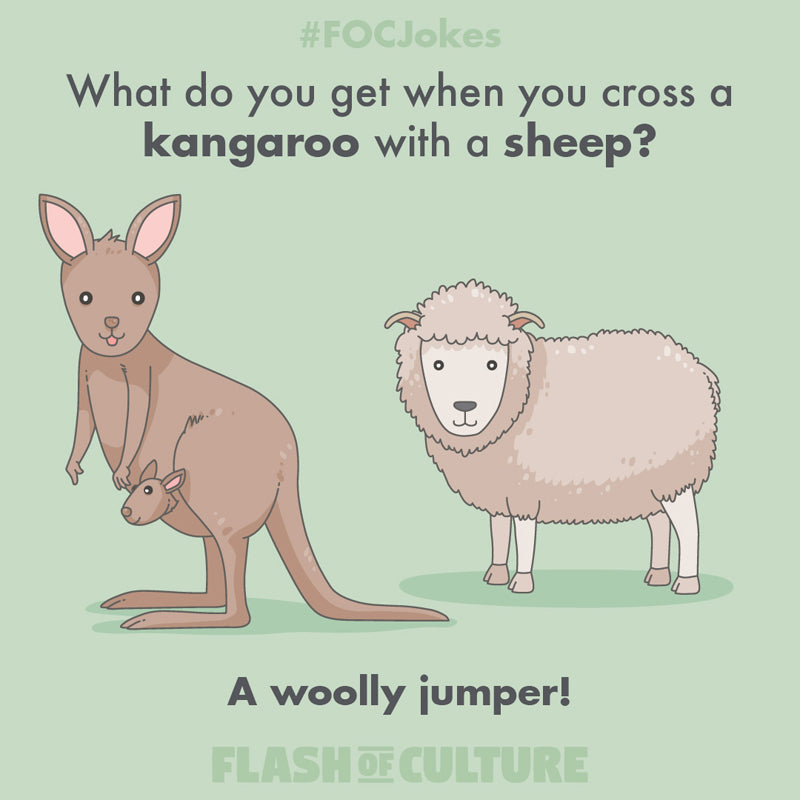 What do you get when you cross a kangaroo with a sheep?