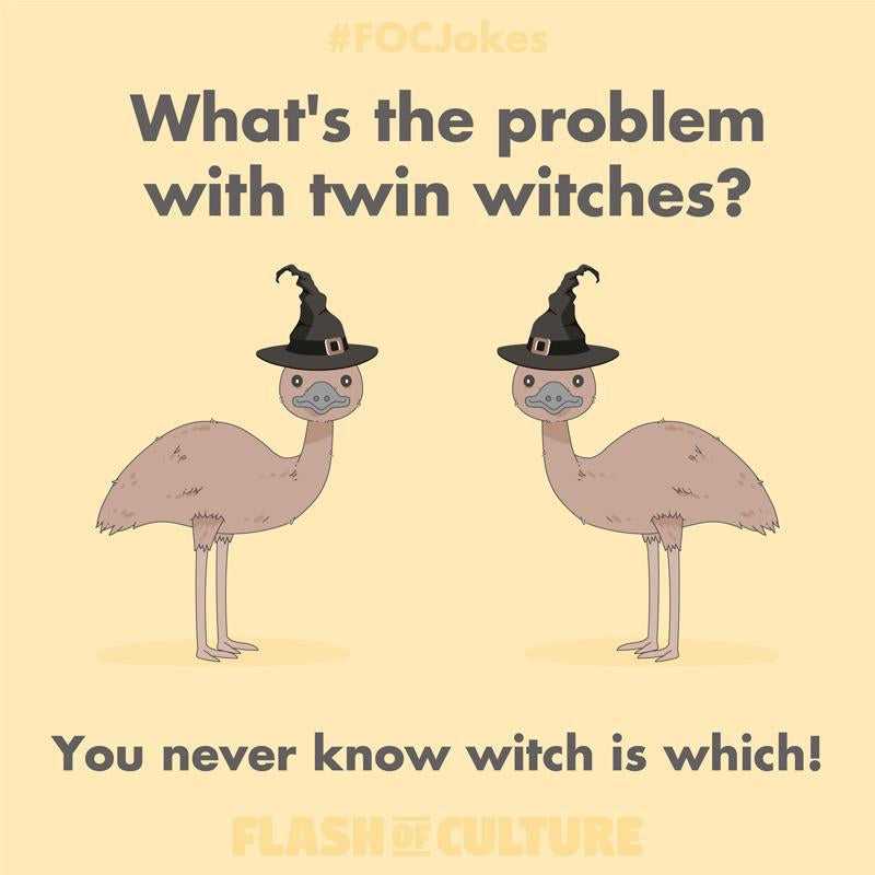 What's the problem with twin witches?-Flash of Culture™
