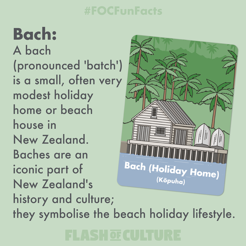 What is a New Zealand Bach?
