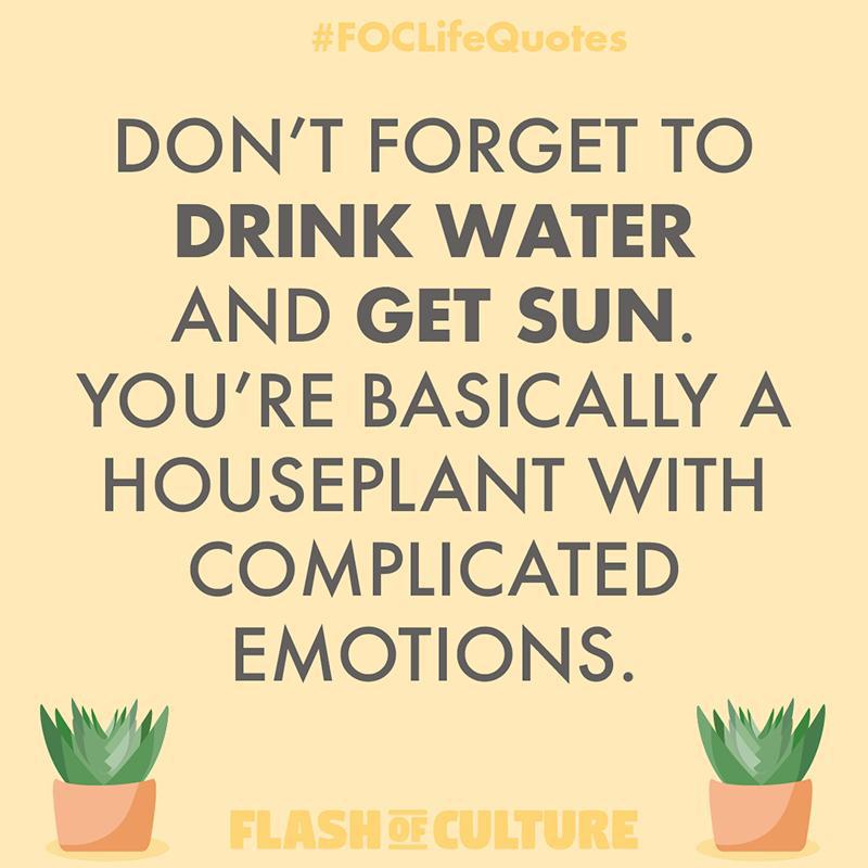 Don't forget to drink water and get sun