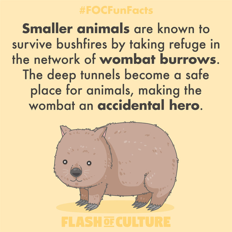 Wombat burrows during bushfires fun fact