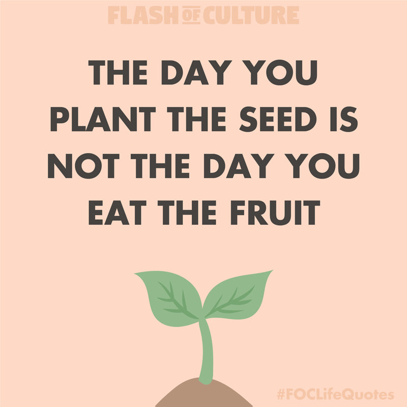 The day you plant the seed is not the day you eat the fruit