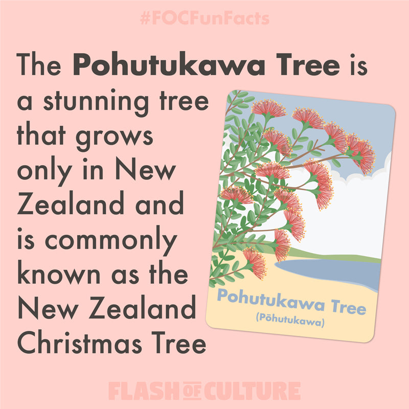 New Zealand Christmas tree