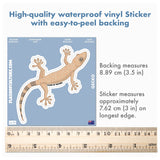 Australian Gecko Sticker, Australian Animal stickers, Travel Souvenirs