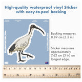 Australian White Ibis sticker, Australian Animal stickers