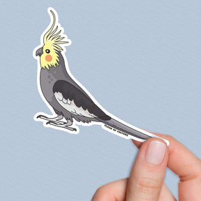 Australian Cockatiel Sticker, Australian Animal stickers, Travel Souvenirs