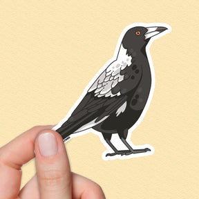 Australian Magpie Sticker, Native Bird Stickers, Travel Souvenirs