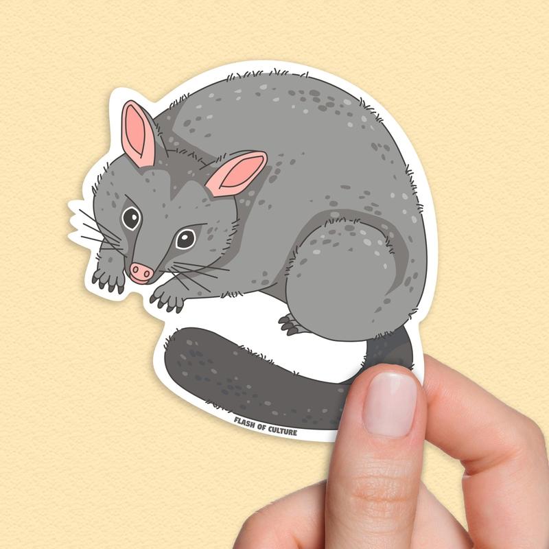 Australian Possum Sticker, Aussie animal stickers