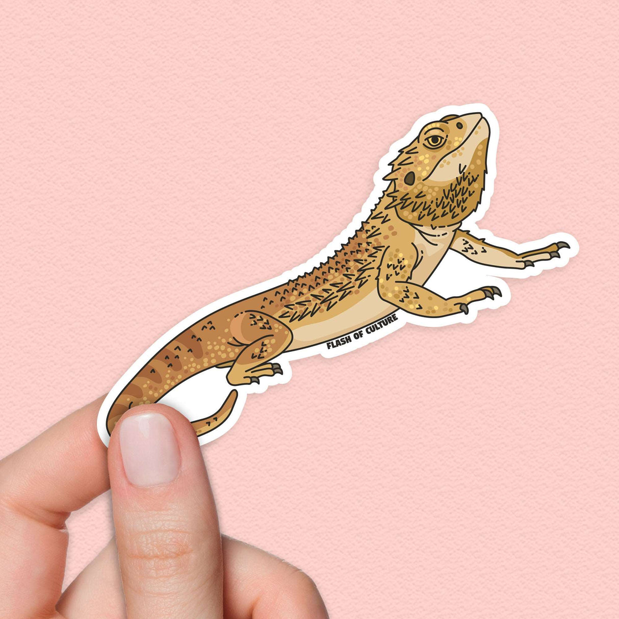 Bearded Dragon Pogona Lizard Sticker