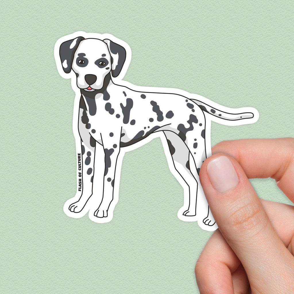 Dalmatian Dog Sticker, Croatia Stickers