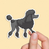 French Poodle sticker, French stickers