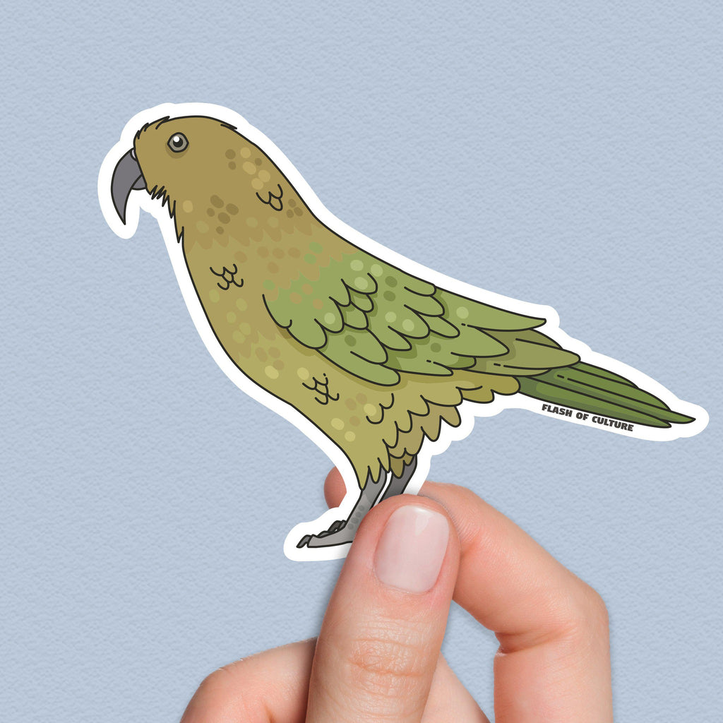 Kea Bird sticker, New Zealand Stickers