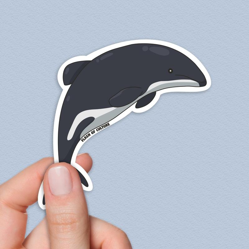 Maui Dolphin sticker, Popoto New Zealand, Hector Dolphin Sticker