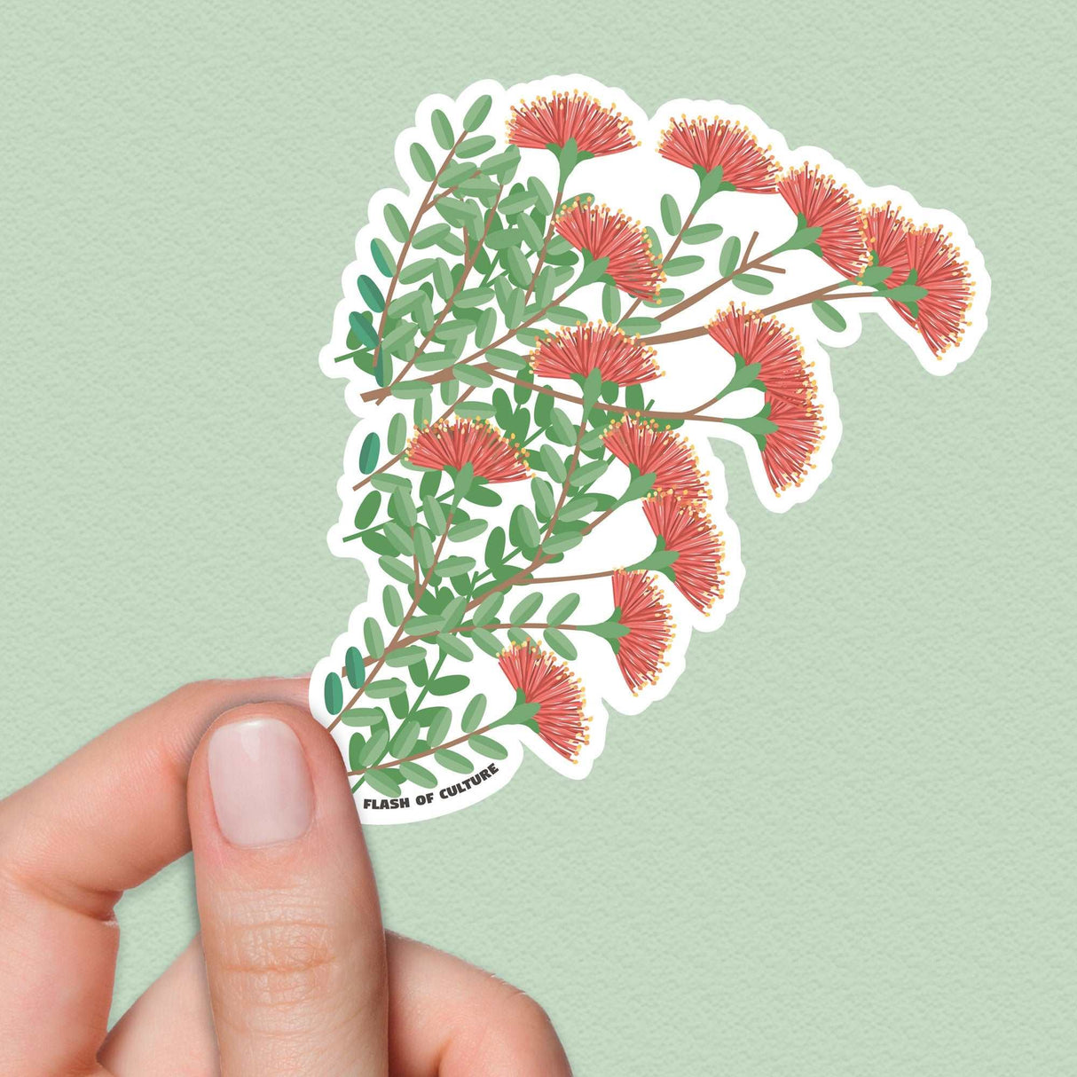 New Zealand Pohutukawa sticker - Kiwiana stickers