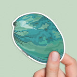 Paua shell sticker, Paua New Zealand Stickers, Abalone shell sticker