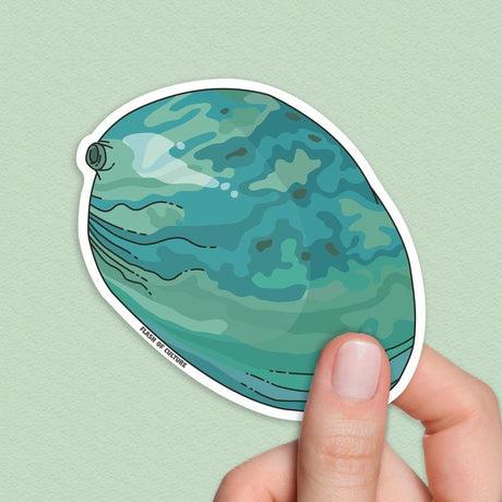 Paua shell sticker, Paua New Zealand Stickers, Abalone shell sticker