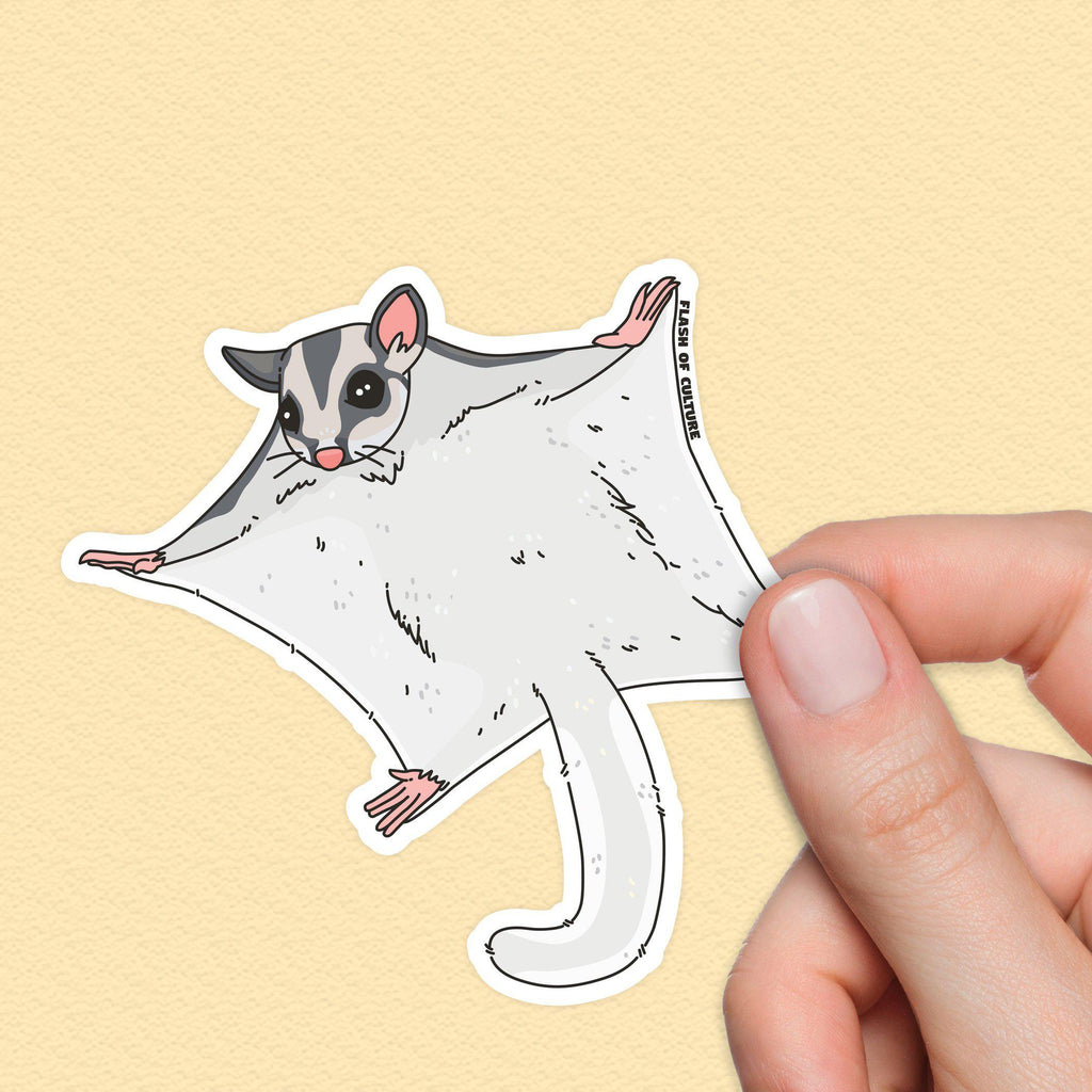 Sugar Glider Sticker, Possum stickers, Australian animal sticker