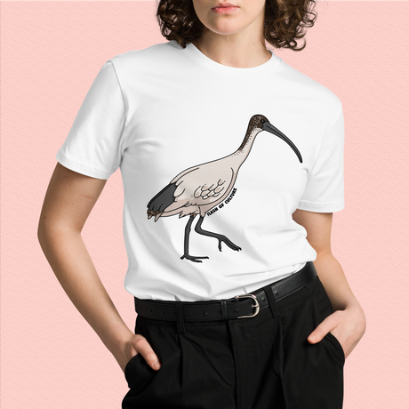 Australian Ibis T-Shirt Adult Unisex