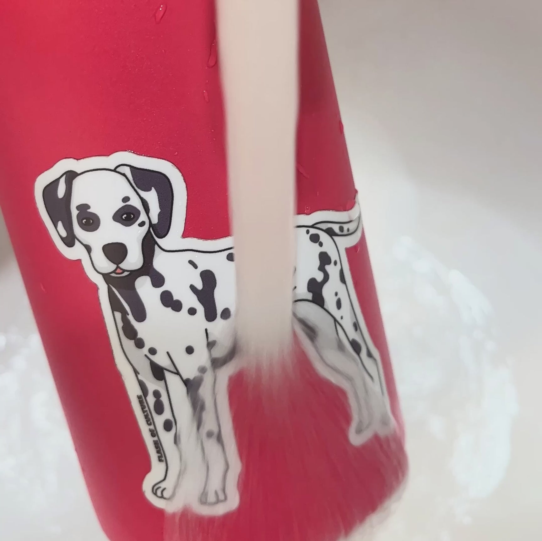 Dalmatian Dog Sticke on bottle under running water