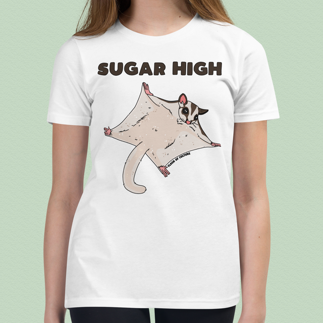 Sugar Glider Sugar High Kids' T-Shirt